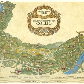 illustrated map of Pecol vineyards
