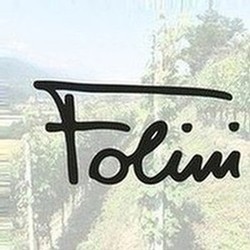 Folini logo and image