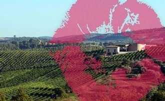 An Italian Villa Winery overlooking a vineyard.
