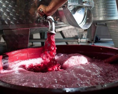 A winemaker draining Italian red wine from a stainless steel tank.