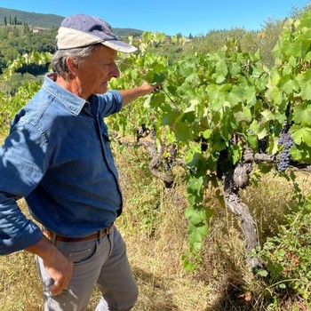 Alessandro standing in his vineyard