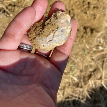 Showing the minerals and rocks that the vines grow in