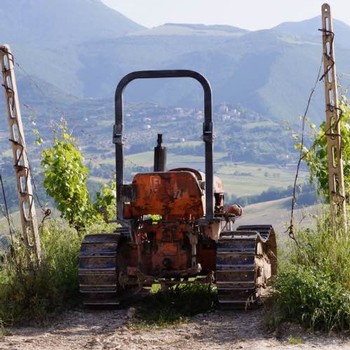 tractor taking in the breathtaking view from Fattoria Nanni Vineyard