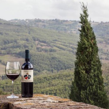 enjoying the scenery with a glass of wine at Jacopo Biondi Santi
