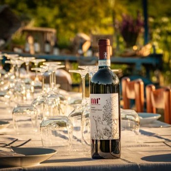 table set up for a dinner in the vineyard with a bottle of red wine in the foreground
