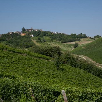 areal view of the beautiful vineyards and estate of Molini di Rovescala
