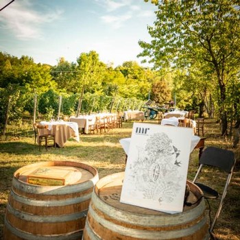 image of tables set up for a vineyard dinner party