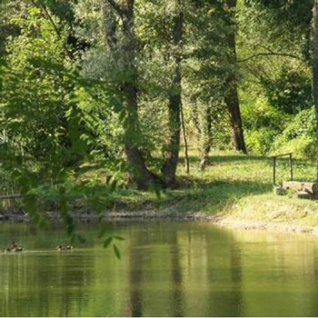 view of the lake at Pecol Wines