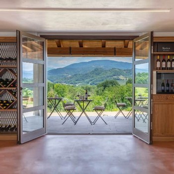 View of the beautiful vineyards and mountainside from the tasting room.