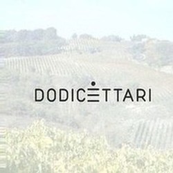Dodiciettari logo and image