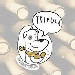 Trifula logo and image