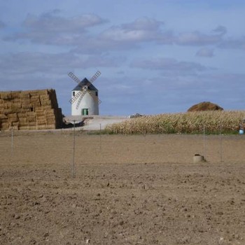 Windmill and hay bails in the distance