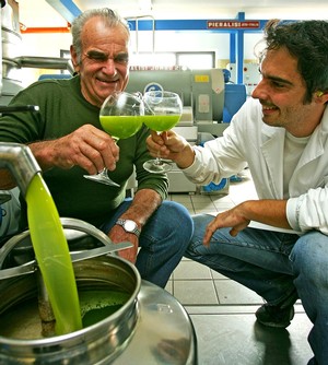 Toasting wine glasses with green olive oil