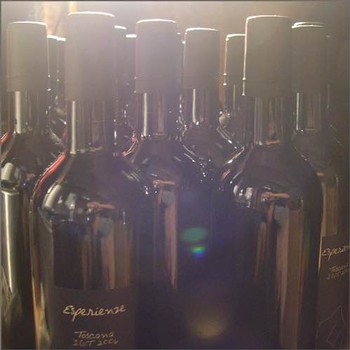 Macchion dei Lupi Winery in Sardegna