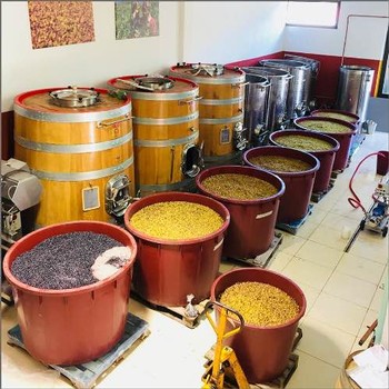 Macchion dei Lupi Winery in Sardegna