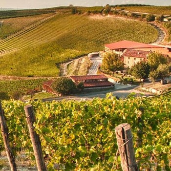 Ricossa Estate surrounded by beautiful vineyards