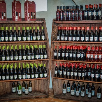 Bottles of wine on display in a huge barrel cut sideways at Weger in Trentino Alto Adige