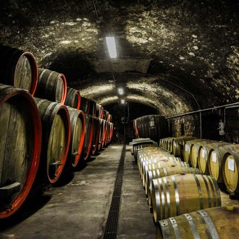 Barrel Cave at Weger in Trentino Alto Adige