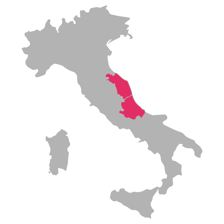 Abruzzo-and-Marche wine region highlighted in pink on a map of Italy