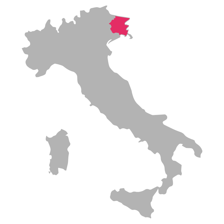 Friuli-Venezia wine region highlighted in pink on a map of Italy