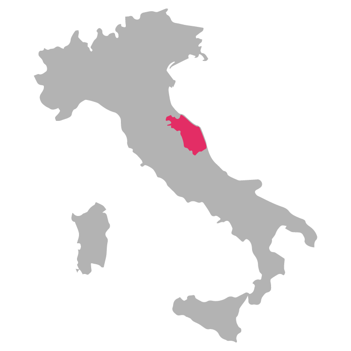 Marche wine region highlighted in pink on a map of Italy