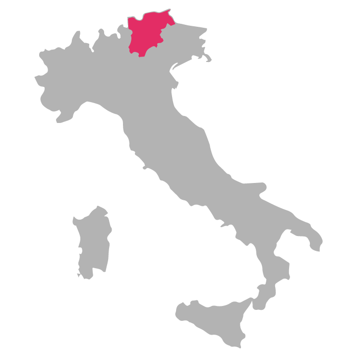 Trentino-Alto wine region highlighted in pink on a map of Italy