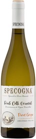 Specogna Pinot Grigio Ramato - 2022